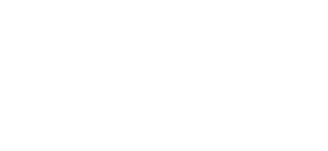 Fortina